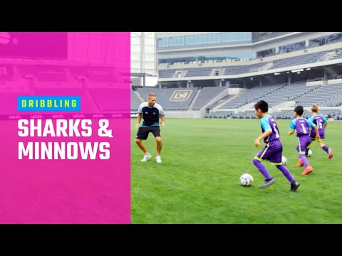 Sharks and Minnows | Fun Soccer Drills by MOJO